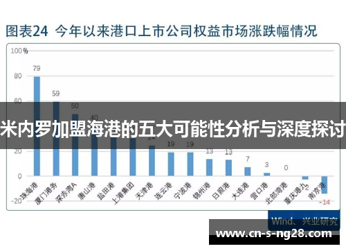 米内罗加盟海港的五大可能性分析与深度探讨