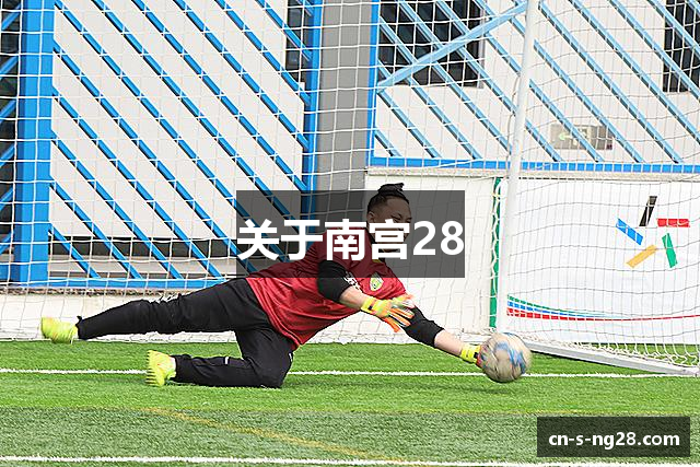 关于南宫28
